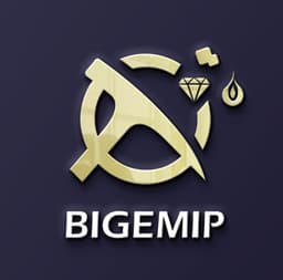 BIGEMIP Logo